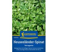 Kiepenkerl Tétragone Cornue "Tetragonia" - 1 sachet