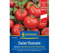 Kiepenkerl Tomate "Betalux" - 15 Graines