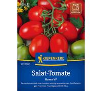 Kiepenkerl Tomate "Roma VF" - 1 sachet