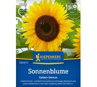 Kiepenkerl Tournesol "Gelber Diskus" - 1 sachet
