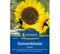 Kiepenkerl Tournesol Picknic - 1 sachet