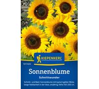 Kiepenkerl Tournesol "Schnittwunder" - 1 sachet