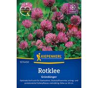 Kiepenkerl Trèfle Rouge - 1 sachet