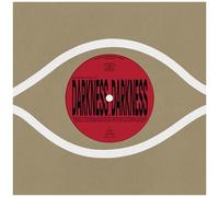 Kieran Hebden - Darkness, Darkness / No Services [12-Inch Single]