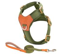 KieTeiiK Harnais pour Chien Grand Petits Chiens sans Traction avec Laisse Pince Réglable Pince Confortable Et Sécurisée Harnais Chien Réglable