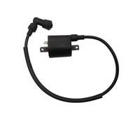 KIFWGIH Bobine d’allumage et fil pour Linhai 260 300 400 500 520 550 22012 EFI ATV Quad UTV