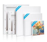 Kigniote Lot de 6 toiles à peindre - 20 x 20,15 x 15,10 x 10 cm - Châssis blanc - Tableau d'artiste pour peinture à l'huile - Panneaux de toile acrylique pour bricoleurs et artistes