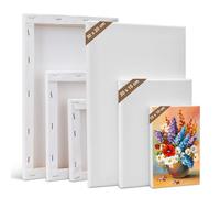 Kigniote Toile à Peindre Toile Peinture (Lot de 6) Toiles Blanche - 30 x 20, 20 x 15, 15 x 10 cm Tableau a Peindre pour Acryliques, Peintures à l'huile, Gouache, Enfants, Débutants, Peintres Toiles