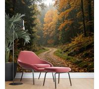 KIJSKKOPO Papier Peint Mural Chemin Forestier D'Automne 105X150cm, Arbres Dorés Et Sentier Boisé, Papier Peint En Soie Imprimé, Paysage Naturel pour Salon Et Chambre, 105X150cm
