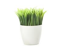 Kikkerland en pot Pen Stand (Sc24)
