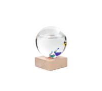 Kikkerland Thermomètre de Galilée Prestige – Globe en verre, étiquettes métal C°/F°, base hêtre