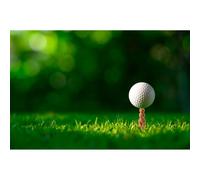 Kikkerland Jeu De Société Gopher Golf Tee