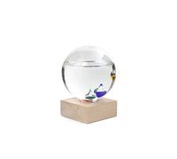 KIKKERLAND Thermomètre Galileo, étiquettes métalliques Dites à la Fois Celsius et Fahrenheit, Globe en Verre, Base en Bois de hêtre, Transparent 11x12x15,8cm