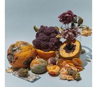 KIKO DINUCCI - RASTILHO (DELUXE EDITION) 2 VINYL LP NEUF