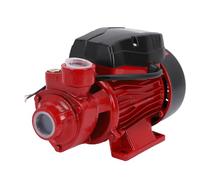 Kikumi Pompe Centrifuge électrique, Pompe à Eau Propre de 35 M de Hauteur de Levage de 50 L Min avec Double Roulements à Billes et Protection contre la Surchauffe, pour L'irrigation de