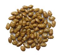 Kikuyu (enrobé : Rust Brown Color) - 3 grammes - Pennisetum Clandestinum - SEM14