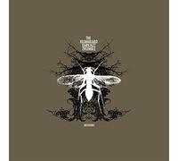 Kilimanjaro Darkjazz - Mutations