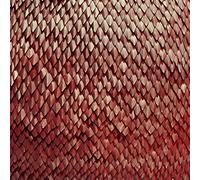 Kill the Vultures - Carnelian [Import]