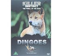 Killer Instinct - Dingoes G