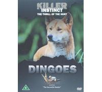 Killer Instinct - Killer Instinct - Dingoes [Import anglais]