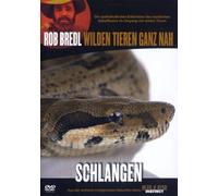 Killer Instinct-Schlangen [Import]