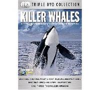 Killer Whales G