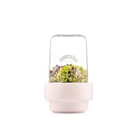 Kilner Kit de germination 0,5 l