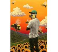 KILSPU Tyler The Creator Flower Boy Hip Hopist Décoration murale en étain Plaque décorative Affiche en métal 20,3 x 30,5 cm
