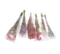 KIMISS Accessoire de Literie en Fleurs de Hamster Naturel pour Les Habitats de Petits Animaux - Décoration Florale DIY et Friandises Comestibles