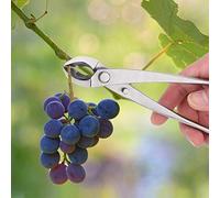 KIMISS branches Multifonctionnel en Acier Inoxydable pour l'élagage, Ciseaux de Cisaille à bonsaï, Outils de Jardin Ergonomiques pour Chaque Jardinier