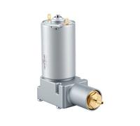 KIMISS Compresseur de Siège Pneumatique de Rechange pour Tracteurs de Camions Grammer Maximo Actimo Primo MSG, Pompe de Compression D'air à Moteur brossé 12 V pour Réglage de la (12V)