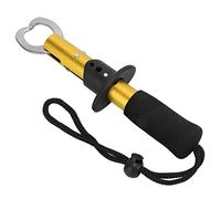 KIMISS Corrosion-Outil de Pêche de Pince à Lèvres de Poisson en Acier Inoxydable avec Dragonne-Accessoires d'équipement de Pêche à Haute efficacité (Gold)