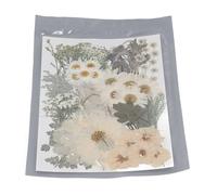 KIMISS Fleurs Pressées pour l'artisanat, Moule en Résine, 100 Pièces, Feuilles Pressées Séchées, Kit en Vrac pour Bricolage, Scrapbooking, Fournitures Décoratives Naturelles