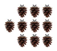 KIMISS Jouet à Mâcher en Bois Naturel pour Oiseau - 10 Pièces, Cônes de Pin, Jouet Interactif à Mâcher pour Perruche, Calopsitte, Conure, Pinson, Perruche, Ara