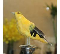 KIMISS Ornement d'oiseau Oriole de Simulation Réaliste - Décor à Plumes Faites à la Main pour Jardin, Maison et Parc | Modèle d'art à Plumes Vif