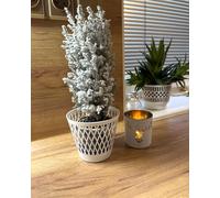 Kimmel Lot de 3 Cache-Pots à Motif grillagé - 12 cm - Blanc - pour Plantes Vertes d'intérieur - Pot de Fleurs décoratif