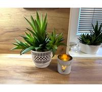 Kimmel Lot de 3 Cache-Pots Classiques - 11 cm - Blanc - pour Plantes succulentes, Cactus - Pot de Fleurs pour orchidées - Pot décoratif