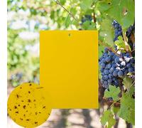 KINBOM Paquet de 20 pièges à Mouches Collants Jaunes Double Face pour Insectes végétaux tels Que moucherons fongiques, pucerons Volants, Autres Insectes Volants (6 x 8 Pouces, Liens torsadés Inclus)