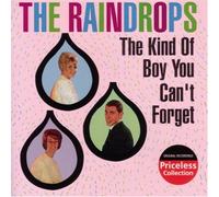 Kind of Boy You Can T Forget [Import]