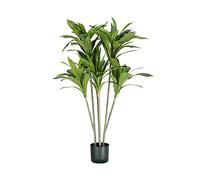 King Collection Plante Dracaena H. 130 cm 88 Feuilles