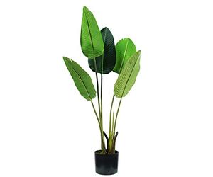 King Collection Plante Strelitzia H. 100 cm 5 Feuilles