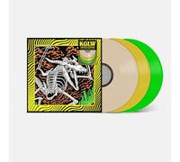 King Gizzard & The Lizard Wizard - King The Lizard Wizard-Acoustic Gizzard-Live in Detroit 2024