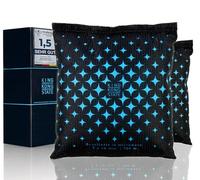 King Kong State Déshumidificateur pour voiture - 2 coussins déshumidificateurs de 500 g pour vitres de voiture embuées - Avec rembourrage anti-buée réutilisable