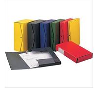 King Mec Project 24004 Lot de 12 boîtes d'archivage - Bleu - 1 pièce