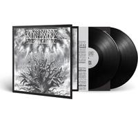 King of Asgard - Svartrvior