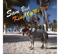 King Of My World by Sam Bush (2004-04-13)