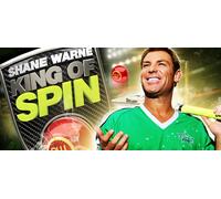 King of Spin (PC)