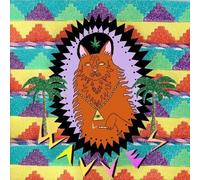 Wavves King of The Beach (Vinyl)