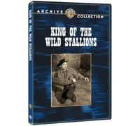 King of The Wild Stallions