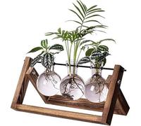 Kingbuy Stations de Propagation de Plantes Terrarium en Verre avec Support rétro en Bois 3 vases à bulbes pour Culture hydroponique, Bureau, décoration d'intérieur, Support de Plantes, Cadeaux pour